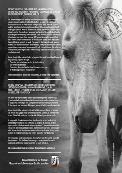 Horse and Hunk calendar 2023 - Image 2
