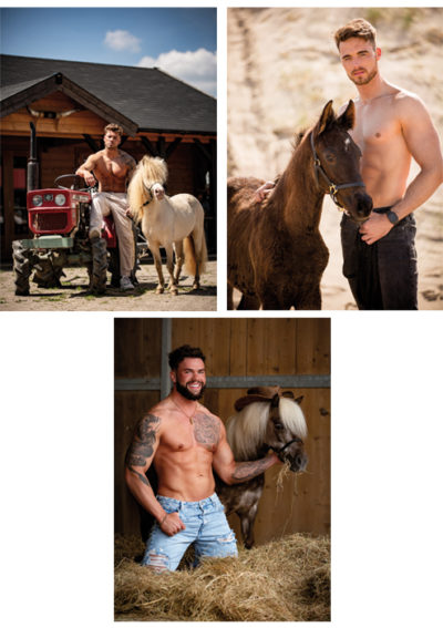 Postcards 3 pieces of Horse and Hunk 2023