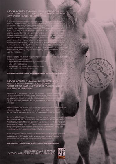 Horse and Hunk calendar 2024 - Image 2