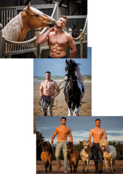 Horse and Hunk Postcards 2025