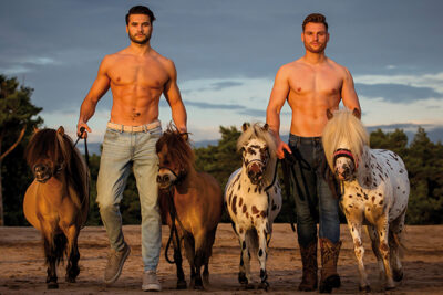 Horse and Hunk Postcards 2025 - Image 3