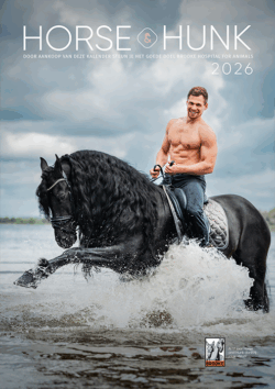 Horse and Hunk calender 2026