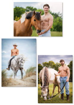 Horse and Hunk Postcards 2026