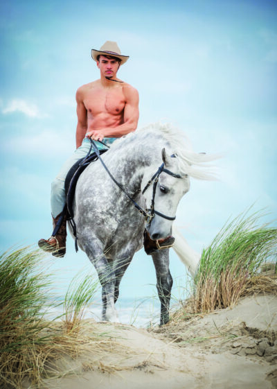 Horse and Hunk Postcards 2026 - Image 3